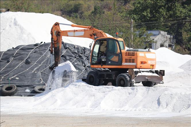 Sản xuất muối công nghiệp tại xã Cà Ná (huyện Thuận Nam, tỉnh Ninh Thuận). Ảnh: Nguyễn Thành – TTXVN