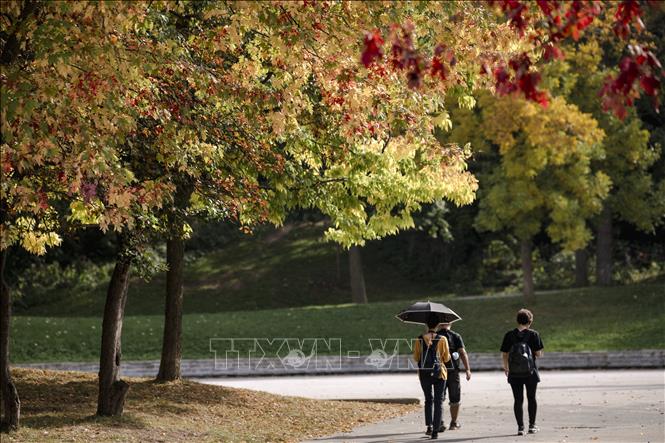 Du khách đi dạo trong quần thể Lac-aux-Castors ở Montreal, Canada trong thời tiết nắng nóng. Ảnh: AFP/TTXVN