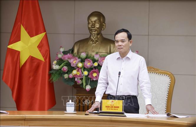 Phó Thủ tướng Trần Lưu Quang phát biểu. Ảnh: Doãn Tấn - TTXVN