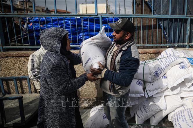 Người tị nạn Palestine ở Rafah, Dải Gaza nhận hàng viện trợ của tổ chức UNRWA,  ngày 28/1/2024. Ảnh: AFP/TTXVN