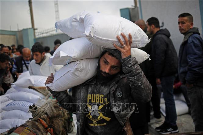 Người tị nạn Palestine ở Rafah, Dải Gaza nhận hàng viện trợ của tổ chức UNRWA ngày 3/3/2024. Ảnh: AFP/TTXVN