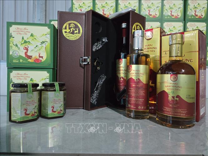 Các sản phẩm từ nhung hươu sao. Ảnh: Khoa Chương - TTXVN 