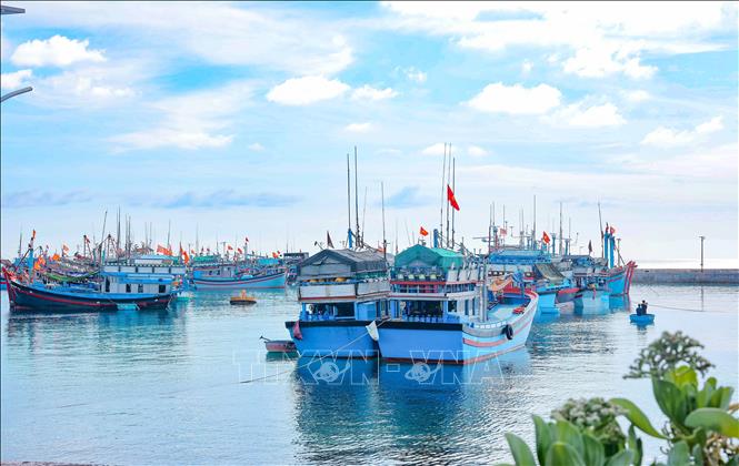 Khu vực âu tàu đảo Trường Sa lớn, là nơi tránh trú, neo đậu an toàn cho tàu thuyền, giúp ngư dân yên tâm vươn khơi bám biển. Ảnh: Hoàng Hiếu – TTXVN