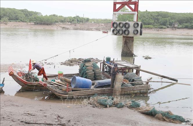 Ngư dân sử dụng lưới bát quái đánh bắt thủy, hải sản dưới chân cầu Diễn Kim (huyện Diễn Châu, Nghệ An). Ảnh: Xuân Tiến - TTXVN 