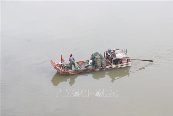 Ngư dân xã Diễn Bích (huyện Diễn Châu, Nghệ An) dùng lưới bát quái khai thác thủy sản trên sông Bùng. Ảnh: Xuân Tiến - TTXVN 