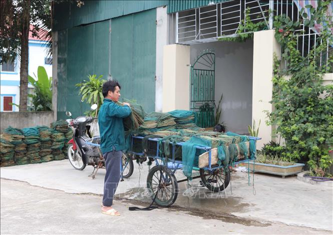 Ngư dân xã Diễn Kim (huyện Diễn Châu, Nghệ An) chuẩn bị hàng chục dây lưới bát quái để đi đánh bắt thủy, hải sản trên sông Lạch Vạn. Ảnh: Xuân Tiến - TTXVN 