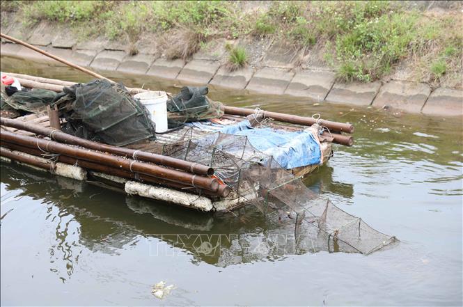 Lưới bát quái là những chiếc lồng hình chữ nhật, mỗi lồng có một cửa để các loài thủy, hải sản như tôm, cua, cá, rạm, ếch, rắn…chui vào. Mỗi lồng lưới bát quái có chiều dài khoảng 10m. Ảnh: Xuân Tiến - TTXVN 