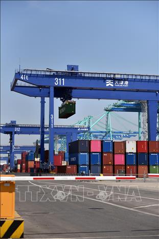 Hoạt động bốc dỡ container tự động hóa tại cảng Thiên Tân. Ảnh: Thành Dương - PV TTXVN tại Trung Quốc
