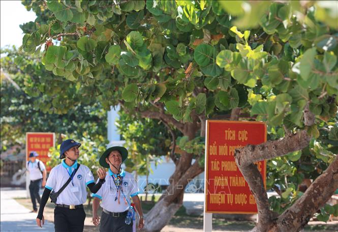 Cùng với màu xanh trời và biển, màu xanh của cây cối trên đảo Trường Sa lớn đang giúp khí hậu nơi đây trở nên thân thiện hơn với con người. Ảnh: Hoàng Hiếu – TTXVN