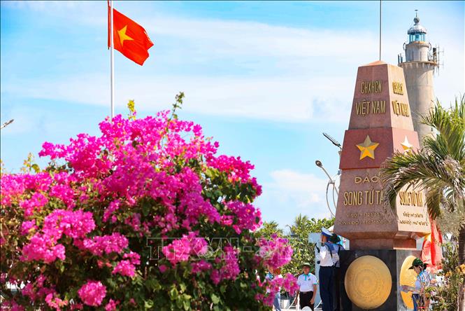 Sắc hoa thắm trên đảo Song Tử Tây. Ảnh: Hoàng Hiếu – TTXVN