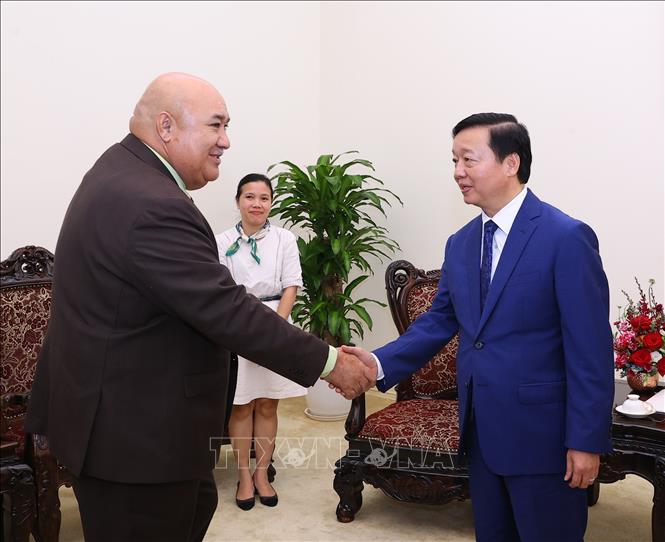 Phó Thủ tướng Trần Hồng Hà tiếp ông Saia Ma'u Piukala, Giám đốc khu vực Tây Thái Bình Dương của Tổ chức Y tế Thế giới. Ảnh: Văn Điệp - TTXVN