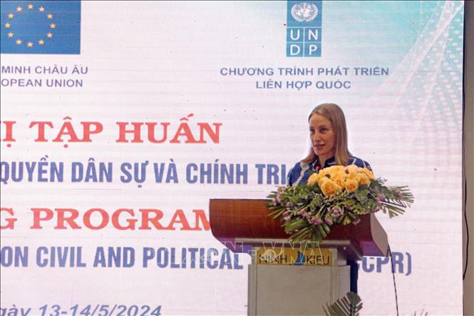 Sabina Stein, Assistant Resident Representative, Head of the Governance and Participation Team at the UNDP, addresses the conference. VNA Photo: Trung Kiên 