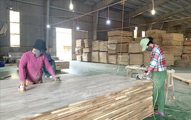 Công ty TNHH Hào Hưng Phú Yên (thị xã Sông Cầu) tạo môi trường làm việc thông thoáng, sạch sẽ, ít rủi ro tai nạn cho lao động nữ. Ảnh: Tường Quân – TTXVN