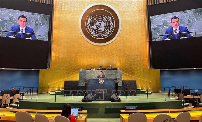 Ambassador Dang Hoang Giang, Vietnam's Permanent Representative to the UN at the UNGA’s emergency special session on the Middle East situation and the Palestine issue in New York on May 13. VNA Photo: Thanh Tuấn