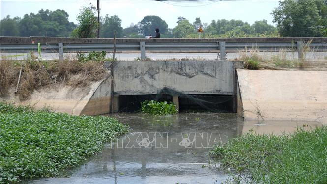 Dòng nước ô nhiễm của kênh Gò Kén chảy ngang qua Quốc lộ 22B, đổ ra sông Vàm Cỏ Đông trên địa bàn thị xã Hòa Thành, tỉnh Tây Ninh. Ảnh: Minh Phú - TTXVN