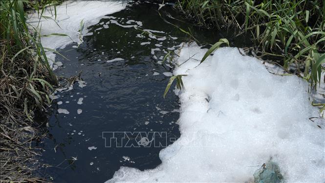  Nguồn nước thải đổ vào kênh Gò Kén có màu đen đặc, nổi bọt trắng, bốc mùi hôi thối. Ảnh: Minh Phú - TTXVN