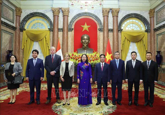 Quyền Chủ tịch nước Võ Thị Ánh Xuân và Đại sứ Peru Patricia Yolanda Raez Portocarrrero với các đại biểu tại Lễ trình Quốc thư. Ảnh: Thống Nhất – TTXVN