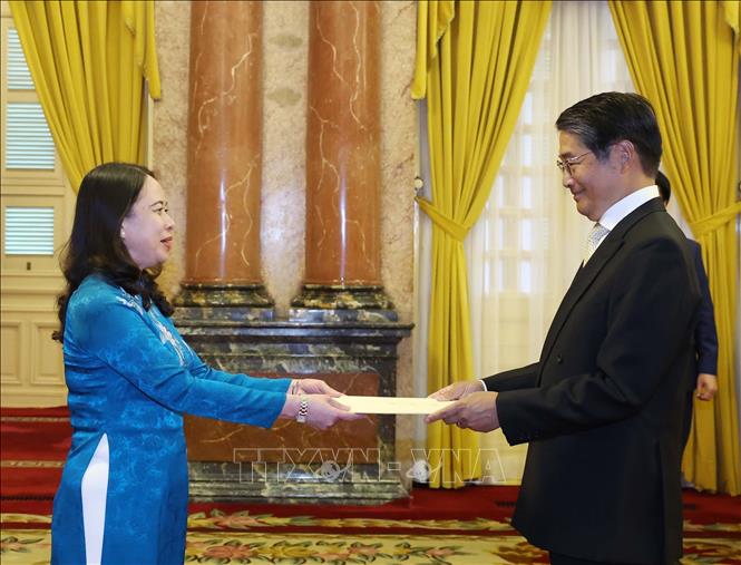 Acting President Vo Thi Anh Xuan receives newly-appointed Japanese Ambassador to Vietnam Ito Naoki. VNA Photo: Thống Nhất 