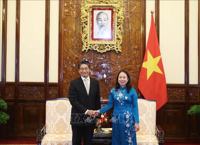 Acting President Vo Thi Anh Xuan receives newly-appointed Japanese Ambassador to Vietnam Ito Naoki. VNA Photo: Thống Nhất 