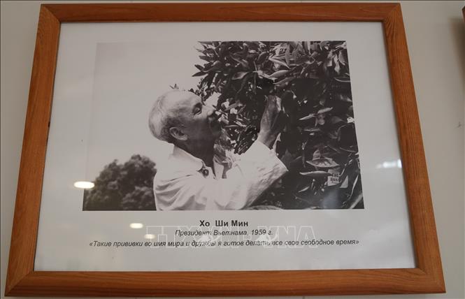 Chủ tịch Hồ Chí Minh đã để lại “dấu ấn xanh” trên Cây Hữu nghị năm 1959. Ảnh: Duy Trinh - Pv TTXVN tại LB Nga