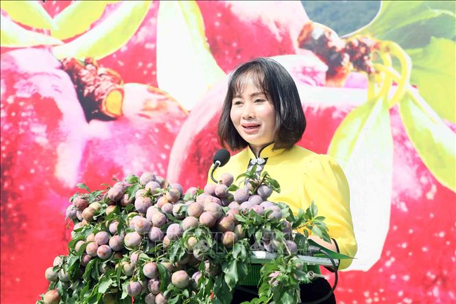 Phó Chủ tịch UBND huyện Mộc Châu Nguyễn Thị Hoa phát biểu. Ảnh: Quang Quyết-TTXVN