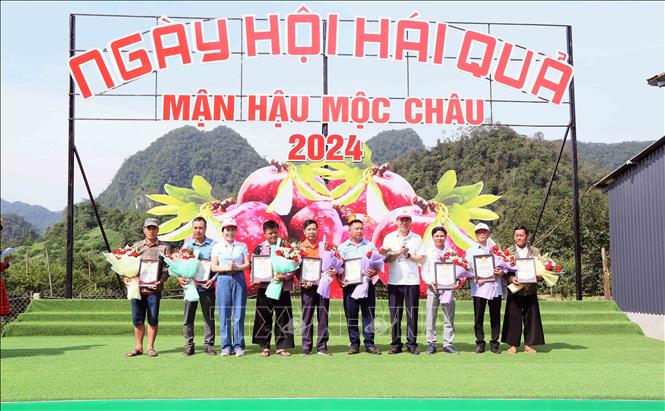 Tôn vinh hộ nông dân, hợp tác xã sản xuất, kinh doanh tiêu biểu tại ngày hội. Ảnh: Quang Quyết-TTXVN