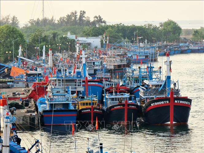 Đội tàu cá khai thác xa bờ cập cảng Ninh Chữ (Ninh Hải, Ninh Thuận). Ảnh: Nguyễn Thành – TTXVN