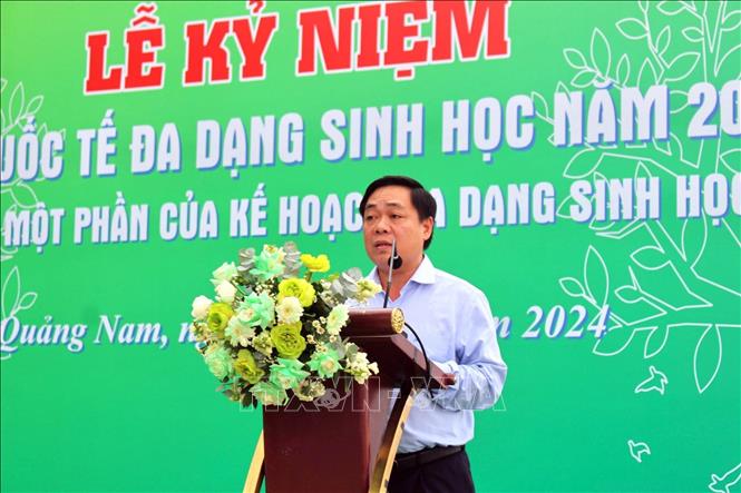 Ông Bùi Ngọc Ảnh, Giám đốc Sở Tài nguyên và Môi trường phát biểu tại lễ kỷ niệm. Ảnh: Trần Tĩnh - TTXVN