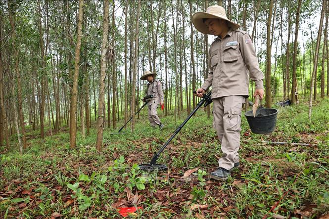 Đội rà phá, bom mìn BAC4 (PeaceTrees Quảng Trị) triển khai làm sạch những vùng đất thuộc huyện Đakrông, đem lại đất sản xuất cho nhân dân. Ảnh: Minh Đức – TTXVN