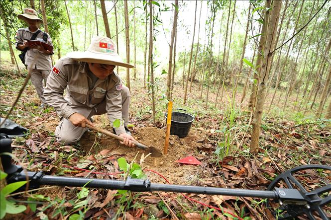 Đội rà phá, bom mìn BAC4 (PeaceTrees Quảng Trị) triển khai, làm sạch những diện tích đất đồi tại huyện Đakrông, đem lại đất sản xuất cho nhân dân. Ảnh: Minh Đức – TTXVN 