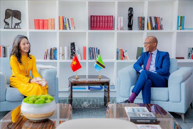Đại sứ Việt Nam tại Tanzania - Vũ Thanh Huyền trao đổi với Bộ trưởng Bộ Ngoại giao Tanzania - January Jusuf Makamba. Ảnh: TTXVN phát