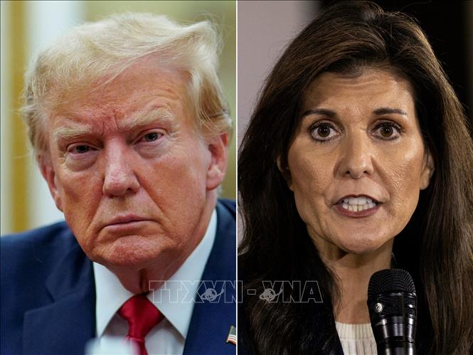 Cựu Tổng thống Mỹ Donald Trump (trái) và bà Nikki Haley. Ảnh: AFP/TTXVN