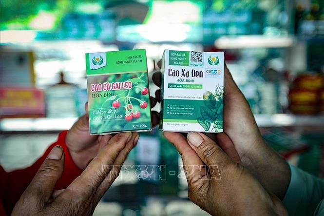 Sản phẩm cao xạ đen (sản phẩm OCOP) và cà gai leo của Hợp tác xã nông nghiệp Yên Trị (Yên Thủy, Hòa Bình). Ảnh: Trọng Đạt - TTXVN