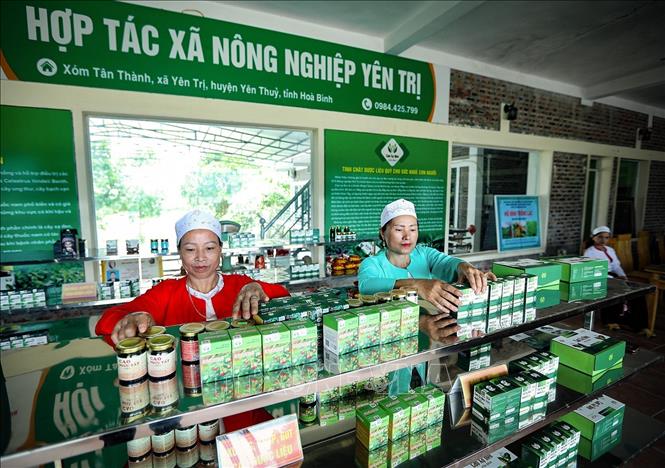 Gian hàng giới thiệu sản phẩm cao thảo dược chất lượng cao của Hợp tác xã Yên trị tại xã Yên Trị, (Yên Thủy, Hòa Bình). Ảnh: Trọng Đạt - TTXVN