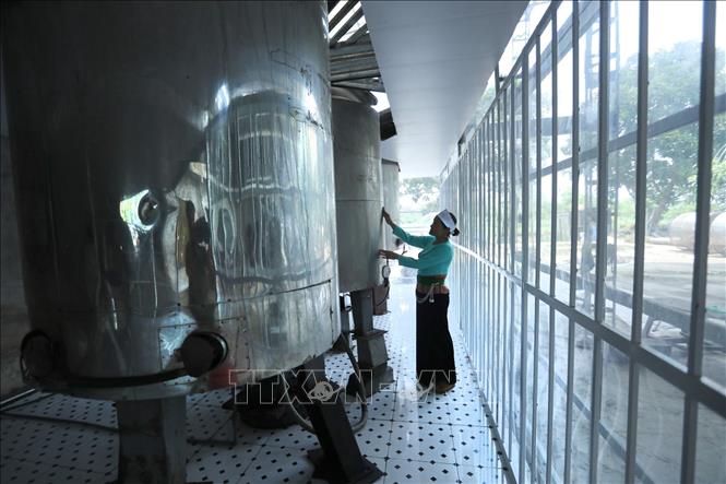 Dây chuyền hệ thống nồi nấu cao xạ đen bằng điện tại Hợp tác xã nông nghiệp Yên Trị (Yên Thủy, Hòa Bình). Ảnh: Trọng Đạt - TTXVN