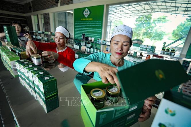  Đóng gói sản phẩm cao thảo dược chất lượng cao tại Hợp tác xã Yên trị tại xã Yên Trị (Yên Thủy, Hòa Bình). Ảnh: Trọng Đạt - TTXVN