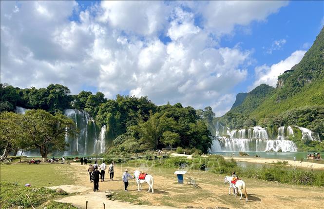 Not only one of the most beautiful waterfalls in Vietnam, Ban Gioc is also among the largest in Southeast Asia and one of the world's four largest waterfalls lying on a border of countries. VNA Photo: Chu Hiệu