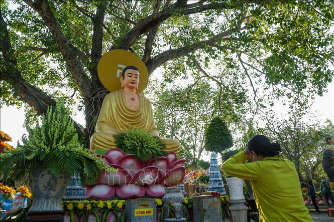 Người dân cúng bái trước tượng Phật Thích Ca ngồi tựa vào cây bồ đề. Ảnh: Giang Phương - TTXVN