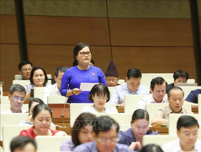 Đại biểu Quốc hội tỉnh Thừa Thiên Huế Nguyễn Thị Sửu phát biểu ý kiến. Ảnh: Phương Hoa - TTXVN