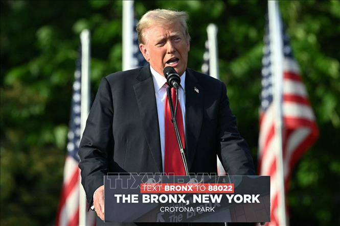 Cựu Tổng thống Mỹ Donald Trump phát biểu tại cuộc vận động tranh cử ở New York, Mỹ, ngày 23/5/2024. Ảnh: AFP/TTXVN