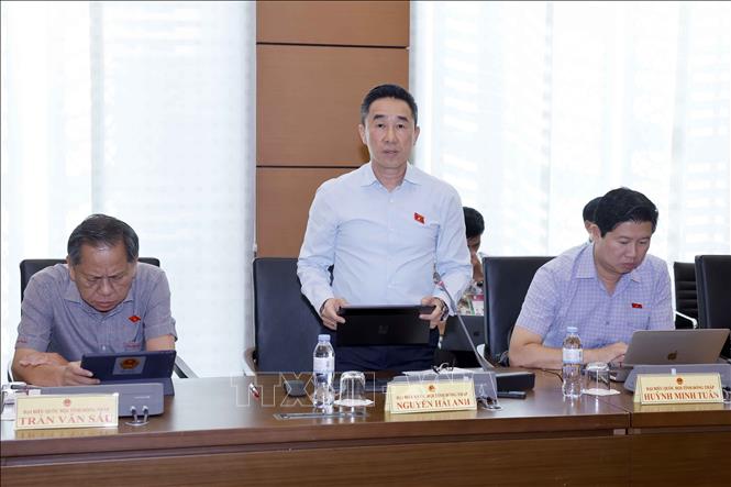 Đại biểu Quốc hội tỉnh Đồng Tháp Nguyễn Hải Anh phát biểu ý kiến. Ảnh: Doãn Tấn - TTXVN