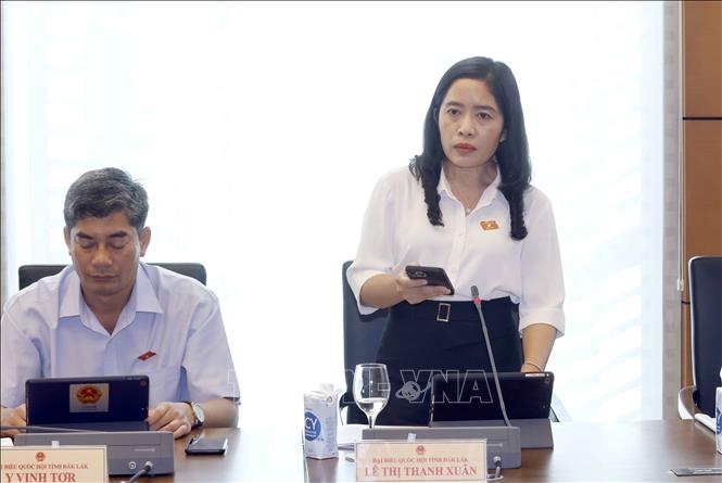 Đại biểu Quốc hội tỉnh Đắk Lắk Lê Thị Thanh Xuân phát biểu ý kiến. Ảnh: Doãn Tấn - TTXVN