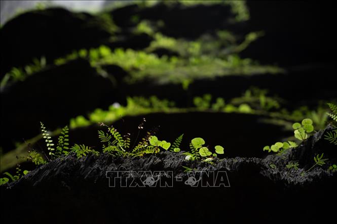 Inside the Son Doong cave. VNA Photo: Hoàng Trung