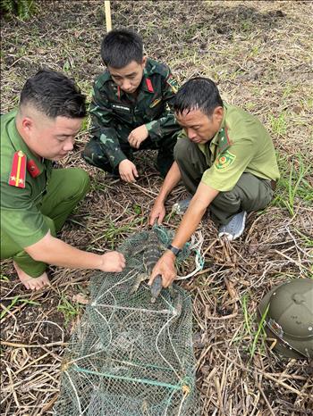 Trạm Kiểm lâm Cỏ Ống-Hạt Kiểm lâm Vườn Quốc gia Côn Đảo (tỉnh Bà Rịa-Vũng Tàu) phối hợp với các lực lượng gồm Công an, Ban chỉ huy quân sự huyện và Ban Điều hành Khu dân cư số 1 tiến hành thả Kỳ đà hoa về môi trường tự nhiên. Ảnh: TTXVN phát