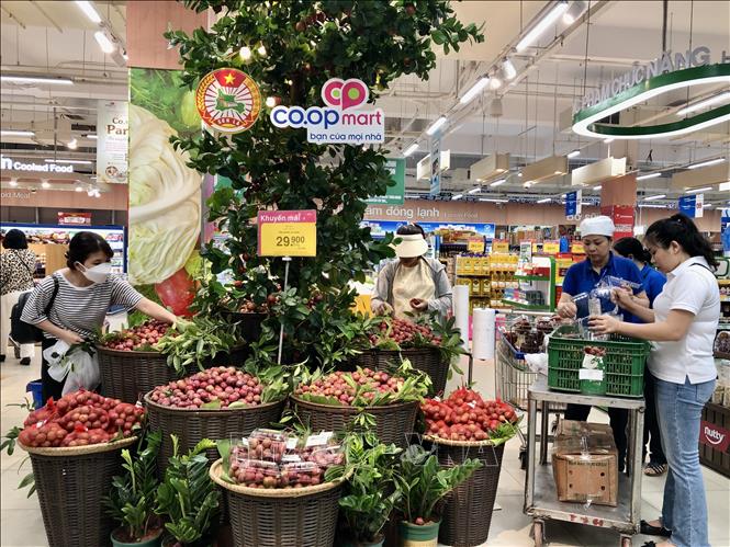Quảng bá sản phẩm mận hậu Sơn La tại Hội chợ. Ảnh: Mỹ Phương – TTXVN 
