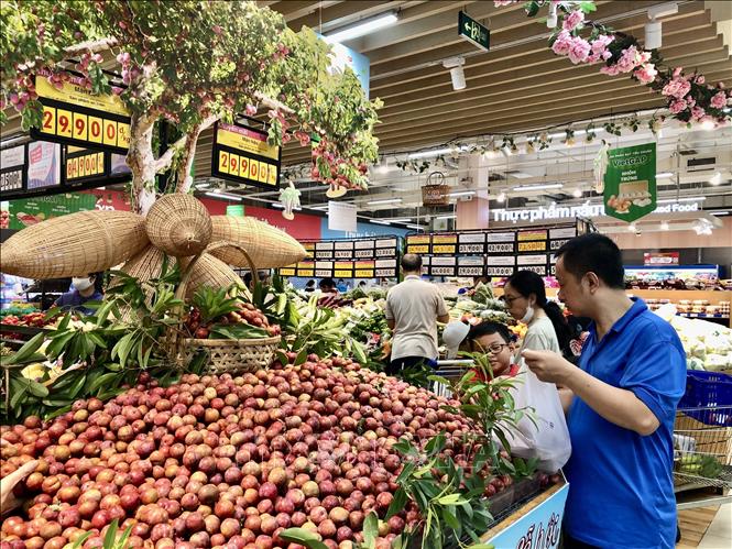Sản phẩm mận hậu Sơn La được giới thiệu tại hội chợ. Ảnh: Mỹ Phương – TTXVN 