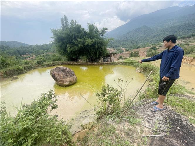 Ao cá phải bỏ hoang của hộ gia đình anh Tao Văn Hung, bản Phiêng Chá, sau khi cá bị chết hết do nguồn nước bị ô nhiễm. Ảnh: Nguyễn Oanh-TTXVN.