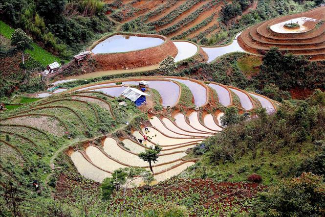 Ruộng bậc thang tại xã Xím Vàng, huyện Bắc Yên. Ảnh: Quang Quyết -TTXVN