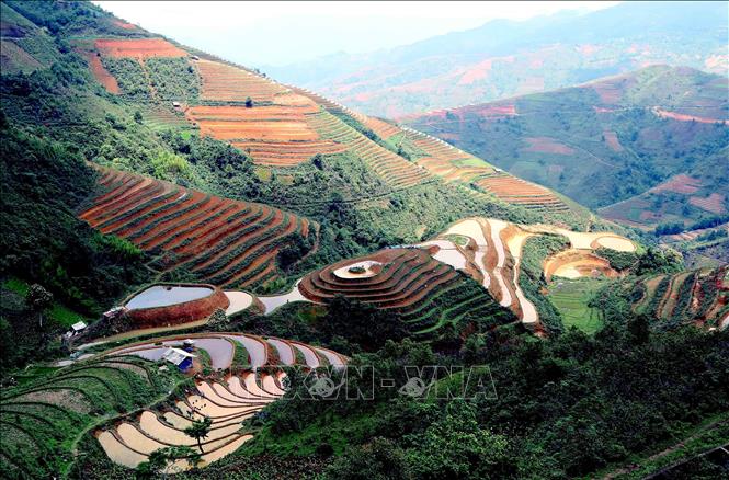 Ruộng bậc thang tại xã Xím Vàng, huyện Bắc Yên. Ảnh: Quang Quyết -TTXVN