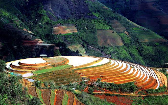 Ruộng bậc thang tại xã Xím Vàng, huyện Bắc Yên. Ảnh: Quang Quyết -TTXVN